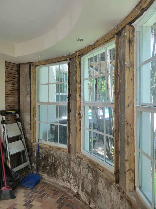 How Does Professional Mold Remediation Work