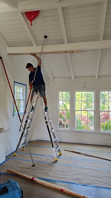 What Is Mold Remediation
