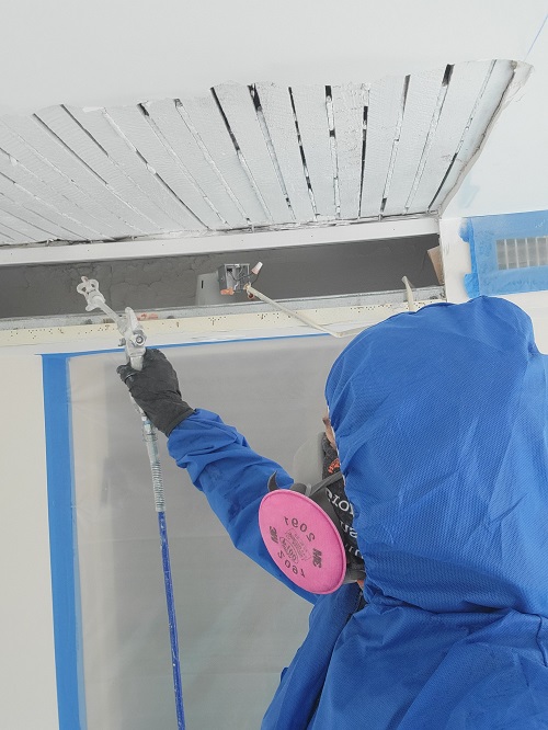 What Professional Mold Remediation Looks Like
